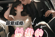 完结版《霸爱成瘾:总裁的小逃妻》在线免费阅读-推书酱