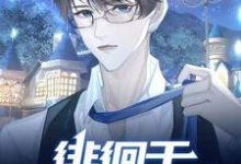 求【ABO】徘徊于黑化的边缘小说的全文免费阅读链接-推书酱