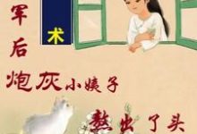 吴妮妮叶泽川完整版小说《姐随军后,炮灰小姨子熬出了头》免费阅读-推书酱