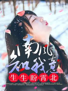 南风知我意，生生盼霄北章节免费在线阅读，沈南意谢霄北完结版