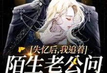 失忆后,我追着陌生老公问相爱过程姜听杳盛宥礼,失忆后,我追着陌生老公问相爱过程完整版最新章节-推书酱