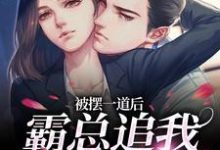 池浅顾锦城小说被摆一道后,霸总追我火葬场章节免费阅读-推书酱