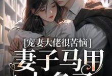 小说完整版《宠妻大佬很苦恼，妻子马甲太多了！》免费阅读-推书酱
