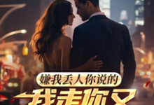 嫌我丢人你说的，我走你又哭什么小说无弹窗阅读的网站推荐-推书酱