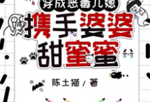 穿成恶毒儿媳,携手婆婆甜蜜蜜小说全文阅读需要付费吗?寻找免费资源-推书酱