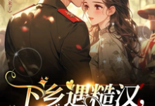 已完结小说《下乡遇糙汉，缘分就来了》在线章节阅读-推书酱