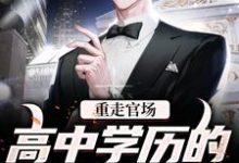 小说《重走官场：高中学历的他青云直上》完整版在线章节免费阅读-推书酱