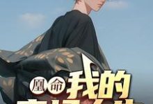 徐雨萌白苏凡完整版《凰命：我的官场人生》小说免费阅读-推书酱
