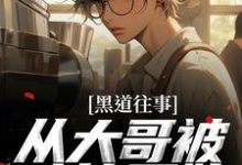 黑道往事：从大哥被暗算开始免费阅读，黑道往事：从大哥被暗算开始章节目录-推书酱