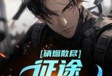 硝烟散尽，征途星辰大海小说完结版章节免费阅读-推书酱