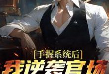 免费在线阅读手握系统后，我逆袭官场权势巅峰小说的正规网站有哪些？-推书酱