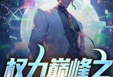 权力巅峰之宦海浮沉小说有没有完结版在线？-推书酱