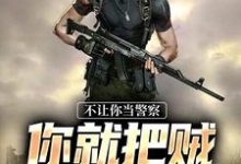 不让你当警察,你就把贼抓光了?高洋小说完结版章节在线阅读-推书酱