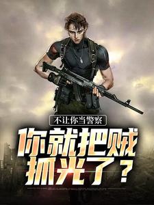 不让你当警察，你就把贼抓光了？高洋小说完结版章节在线阅读