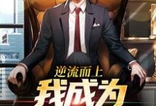 完整版的逆流而上,我成为官道新贵!小说在哪里可以免费读到?-推书酱