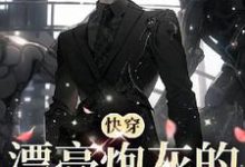哪里可以免费找到【快穿】漂亮炮灰的恶人进化指南?-推书酱