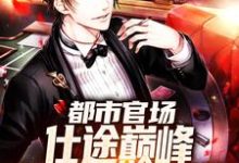 完整版《都市官场:仕途巅峰,从公务员开始》小说免费阅读-推书酱
