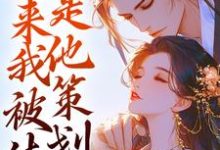 完结版《勾心：原来我被休是他策划的》免费阅读-推书酱