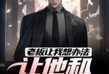 老板让我想办法,让他和老婆离婚秦羽小说免费阅读-推书酱