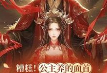 糟糕！公主养的面首竟是九千岁商璃萧焱小说在线章节目录阅读最新章节-推书酱