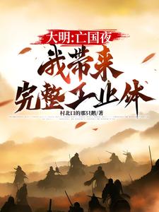 《大明：亡国夜，我带来完整工业体》朱由检完整版小说免费阅读