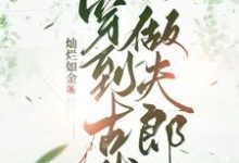 小说《穿到古代做夫郎》完整版章节免费阅读-推书酱