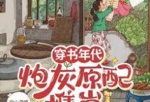 完结版《穿书年代，炮灰原配携崽随军去啦》章节阅读-推书酱