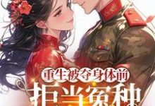 苏在在小说完结版在线阅读,重生被夺身体前,拒当冤种嫁军官免费看-推书酱
