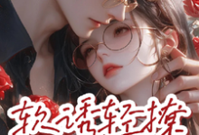 完结版《软诱,轻撩》章节阅读-推书酱