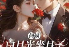 伺候白月光坐月子，老公给我一亿这本小说怎么样？免费在线阅读试试-推书酱