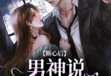 完整版《断心后,男神说他又上头了》小说免费阅读-推书酱