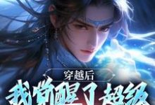 穿越后，我觉醒了超级锦衣卫系统程遇，穿越后，我觉醒了超级锦衣卫系统在线无弹窗阅读-推书酱