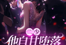《二少,他自甘堕落,沦为裙下臣!》小说大结局免费试读 徐菓乔玺南小说-推书酱