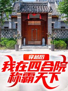 穿越后，我在四合院称霸天下（何雨柱）完整版在线免费阅读