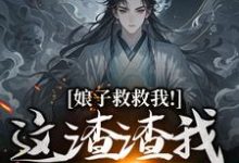 娘子救救我！这渣渣我虐不完司寻小说大结局免费试读-推书酱
