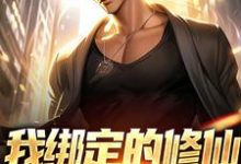 我绑定的修仙系统有点癫小说最新章节在哪里可以读到？-推书酱