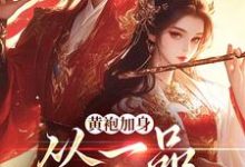 黄袍加身，从一品侯爵开始章节免费在线阅读，卫小宝韦小宝完结版-推书酱