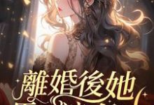 离婚后,她马甲遍全球完整版最新章节,离婚后,她马甲遍全球章节在线阅读-推书酱
