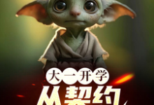 大一开学,从契约哥布林开始林峰小布小说免费阅读-推书酱