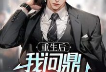 在线免费阅读权力巅峰:从女领导秘书开始完整小说-推书酱