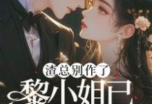 《渣总别作了,黎小姐已另嫁豪门》小说免费阅读完整版-推书酱