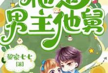 《七零军婚:搞错啦,他是男主他舅》小说免费阅读完整版-推书酱