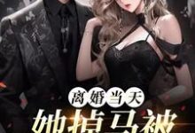 离婚当天,她掉马被顶级娘家接回小说的最新章节在哪里更新?免费追踪阅读-推书酱