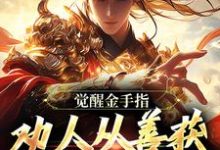 已完结小说《觉醒金手指：劝人从善获决定武力值》章节免费阅读-推书酱