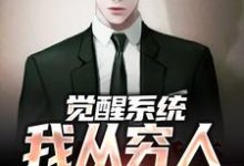 完整版《觉醒系统：我从穷人变富豪》小说免费阅读-推书酱
