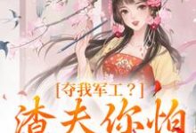夺我军工?渣夫你怕是没命享完整版小说免费阅读,夺我军工?渣夫你怕是没命享小说-推书酱