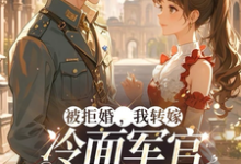 被拒婚,我转嫁冷面军官三年抱俩小说完结版章节免费阅读-推书酱