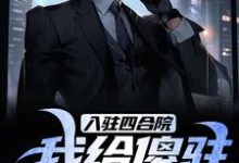 《入驻四合院,我给傻驻送关怀!》小说免费阅读完整版-推书酱