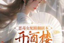 许迎春陆沉小说恶毒女配踹翻剧本，开酒楼当富婆了完整版阅读-推书酱