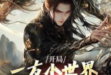 《开局一方小世界，我靠系统逆袭》小说章节列表免费试读，李长枫林九小说在线阅读-推书酱